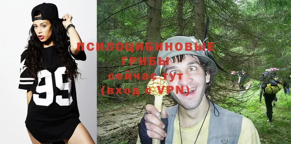 PSILOCYBIN Верхнеуральск