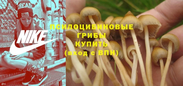 PSILOCYBIN Верхнеуральск